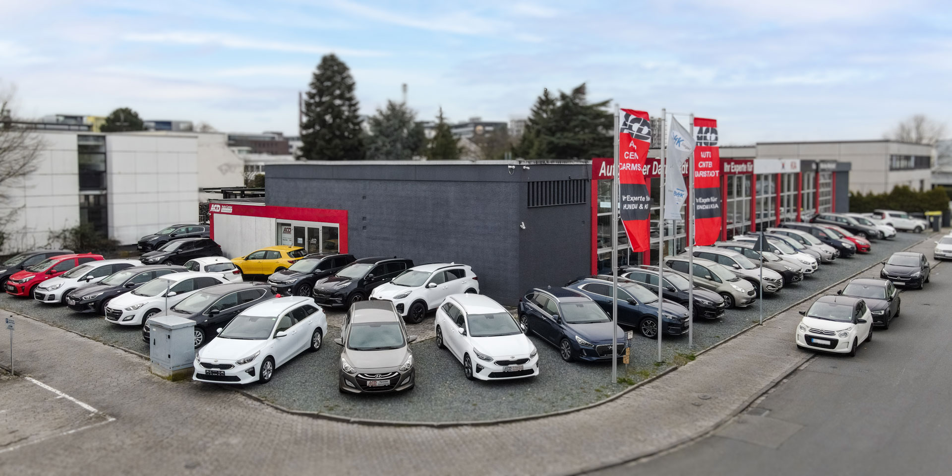 acd-header-01.jpg